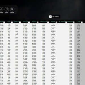 TradeMaster Pro Excel Trading Journal: Stock & Crypto Tracker image 5