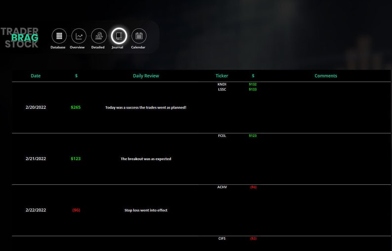 TradeMaster Pro Excel Trading Journal: Stock & Crypto Tracker image 6