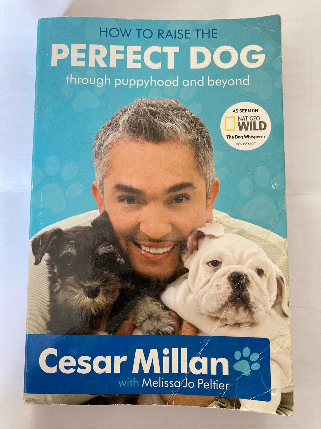 How to Raise the Perfect Dog Through Puppyhood & Beyond by Cesar Millan ...