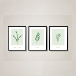 Digital | Herb Prints | Kitchen Decor | Minimalist Art | Farmhouse Style | Modern Kitchen Decor | Botanical Prints | Thyme Rosemary Sage