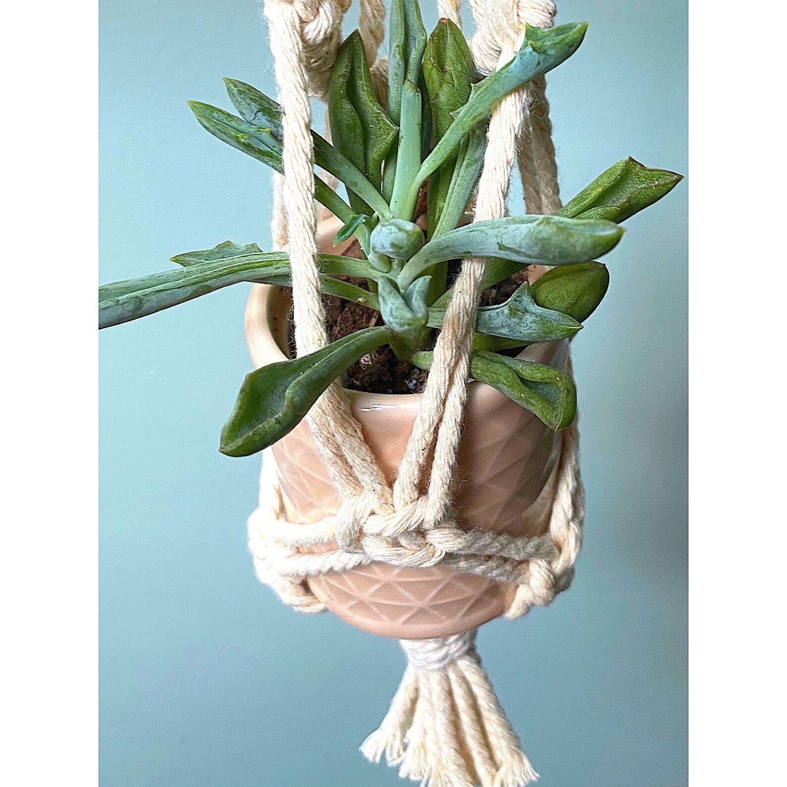 Rearview Mirror Plant Hanger Mini Macrame Succulent Planter Etsy