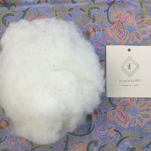 Star Baby's fleece (cloud)