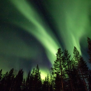 Northern lights in Finnish Lapland. Aurora Borealis, Finland, Winter, Trees, Kakslauttanen