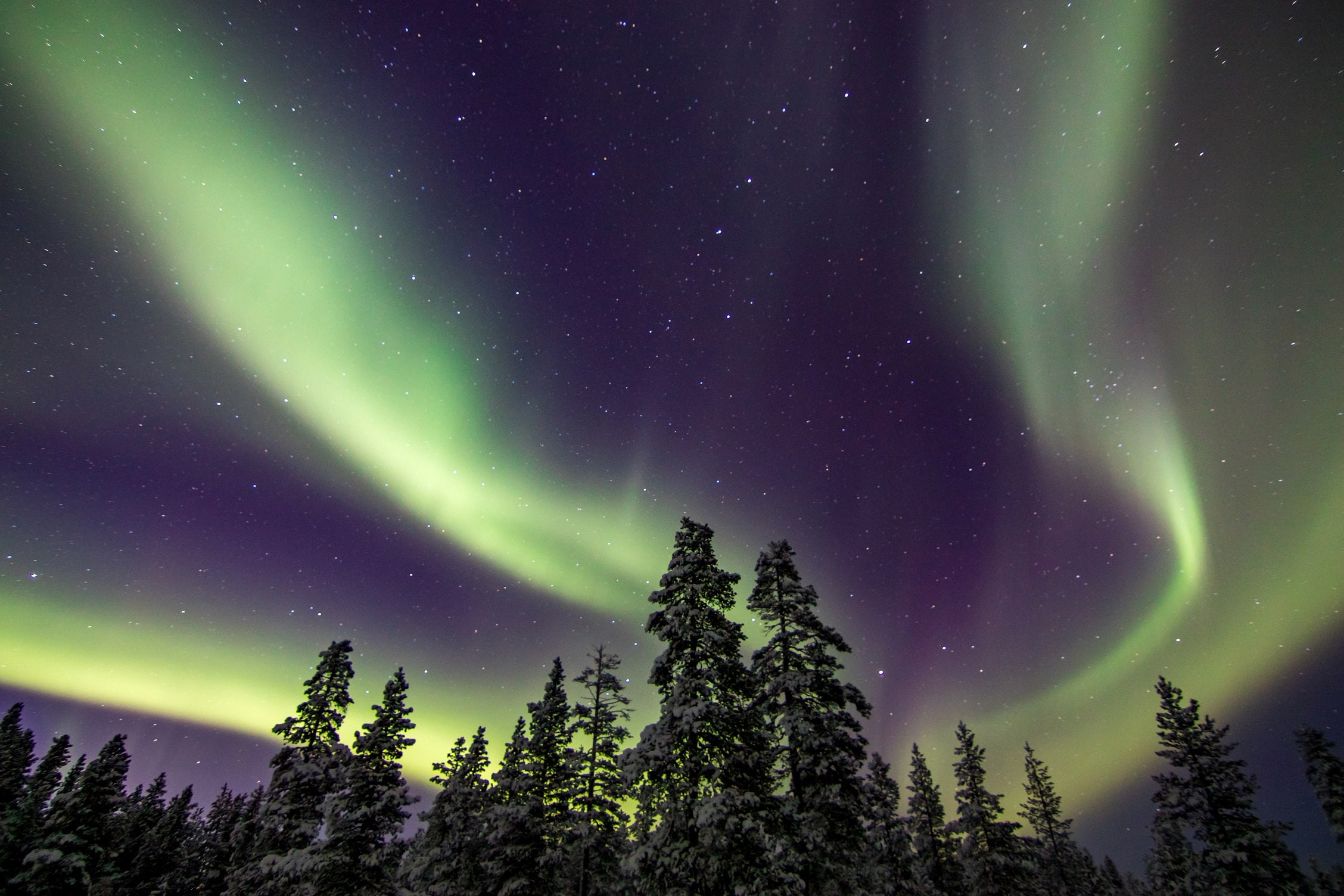 Northern Lights in Finnish Lapland. Aurora Borealis, Finland, Winter ...