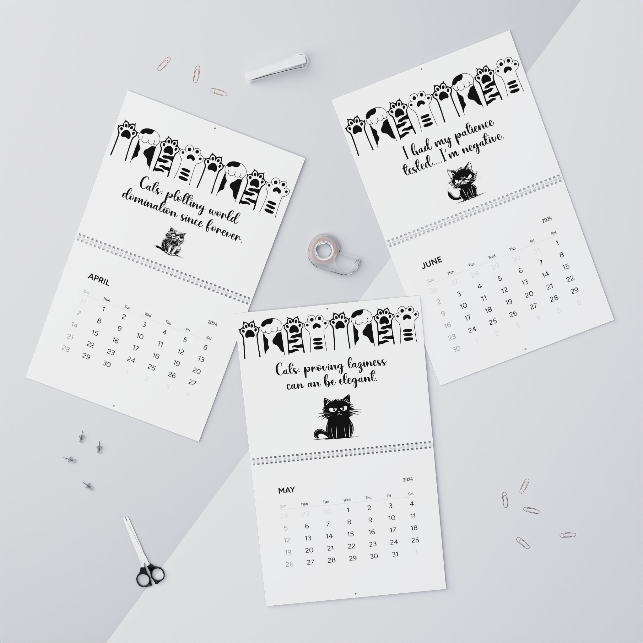 Funny Gift for Cat Mom 2024 Calendar Monthly Wall Calendar Snarky Cat