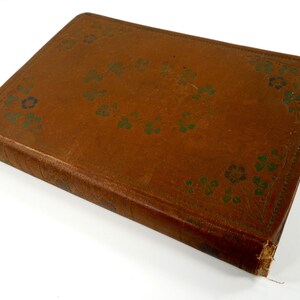 May include: A brown leather-bound book with a decorative floral design in green and blue.