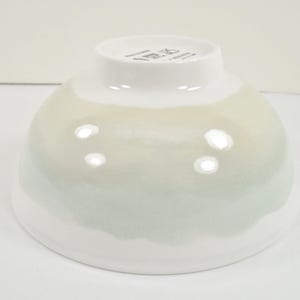 May include: A white ceramic bowl with a gradient of colours. The bowl transitions from white at the base to a pale green and yellow in the middle, and back to white at the rim. The bowl is approximately 13 cm in diameter.