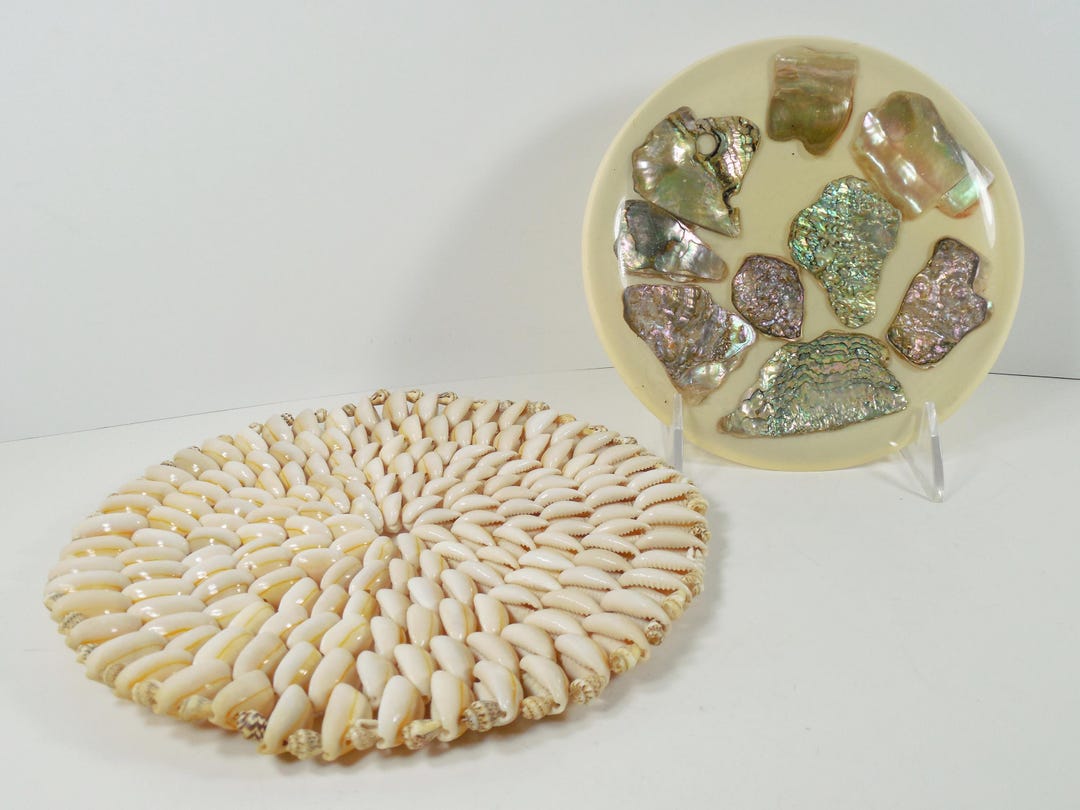 Abalone Shell Lucite Trivet and Cowrie Shells and Cone Shells Seashells ...