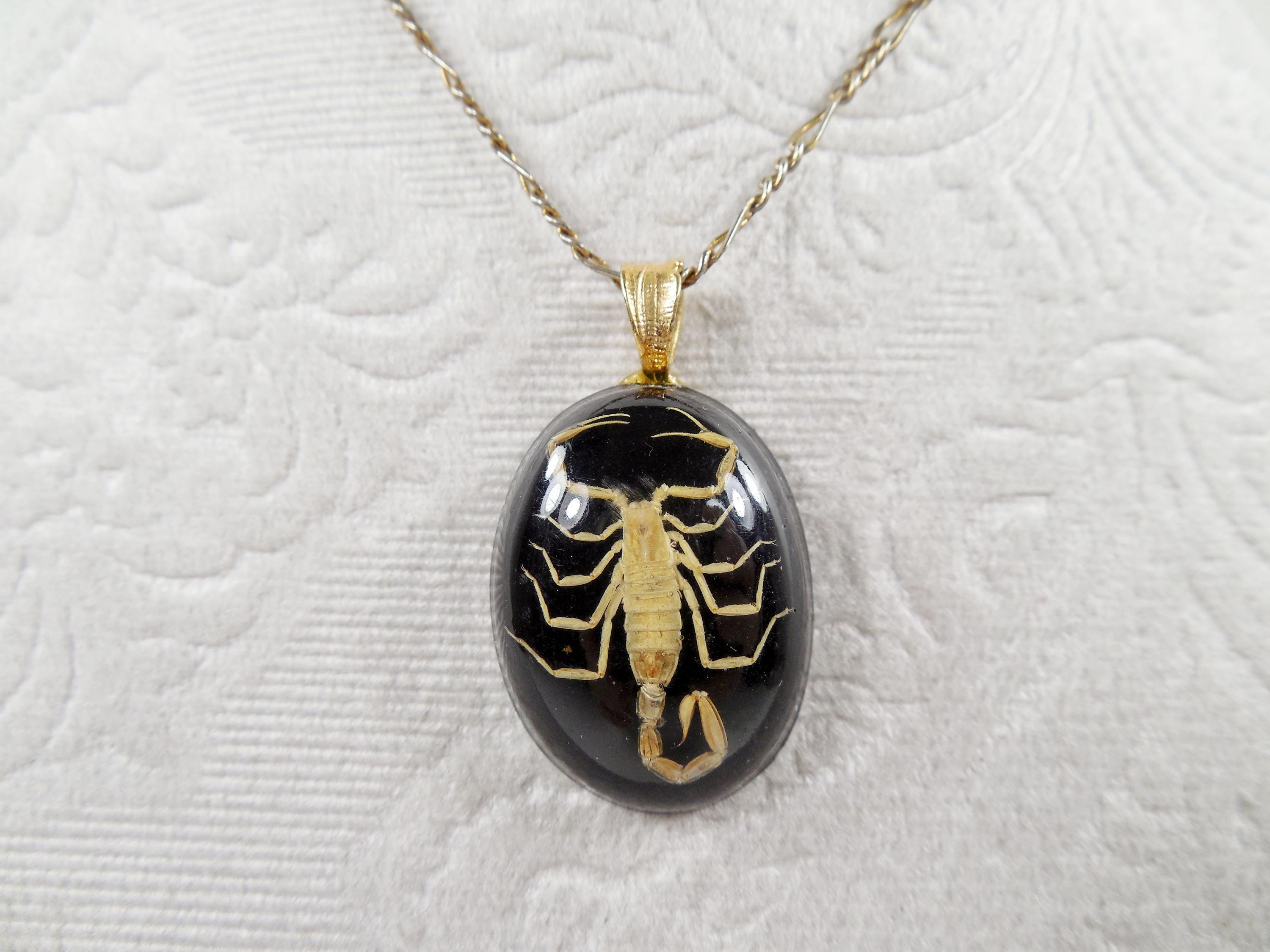 Black Real Scorpion Necklace - Etsy