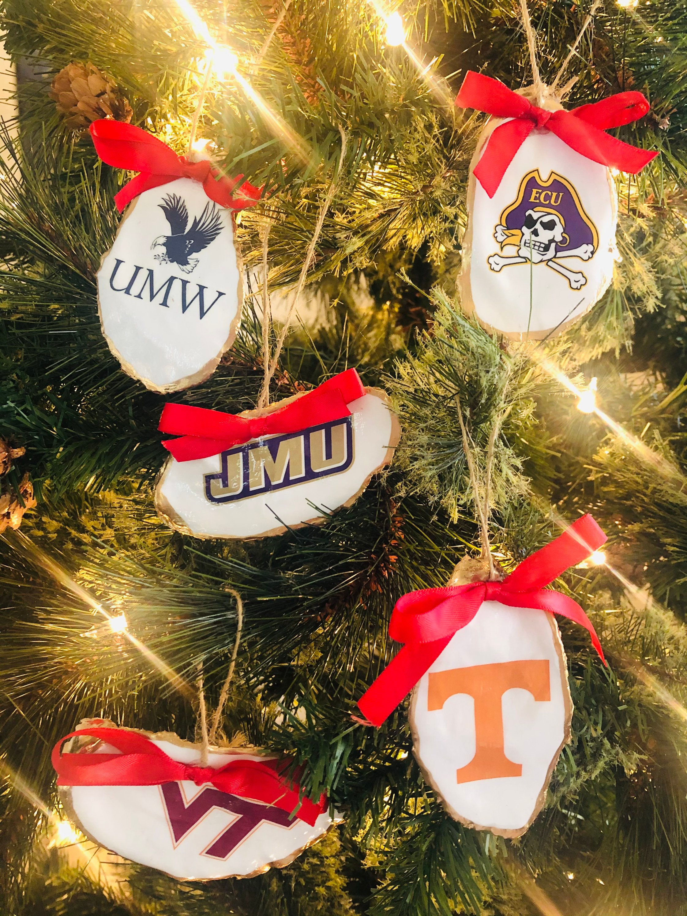 College/university Oyster Shell Christmas Ornament Etsy