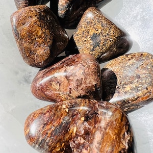 Bronzite Tumbled Stones - Grounding, Shielding. and Protection Crystals - You Pick The Number