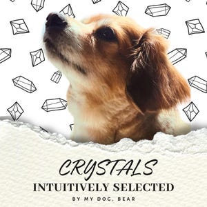 Kundenspezifische Kristalle intuitiv von meinem Hund ausgewählt - Kristall Lucky Dip Geschenk für Hundeliebhaber