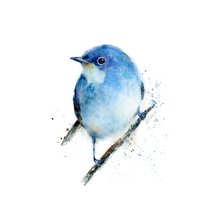Art print bird for download of a blue sparrow from original watercolor painting instant printable PNG hanging picture handmade gift