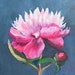 see more listings in the Floral Oil Paintings section