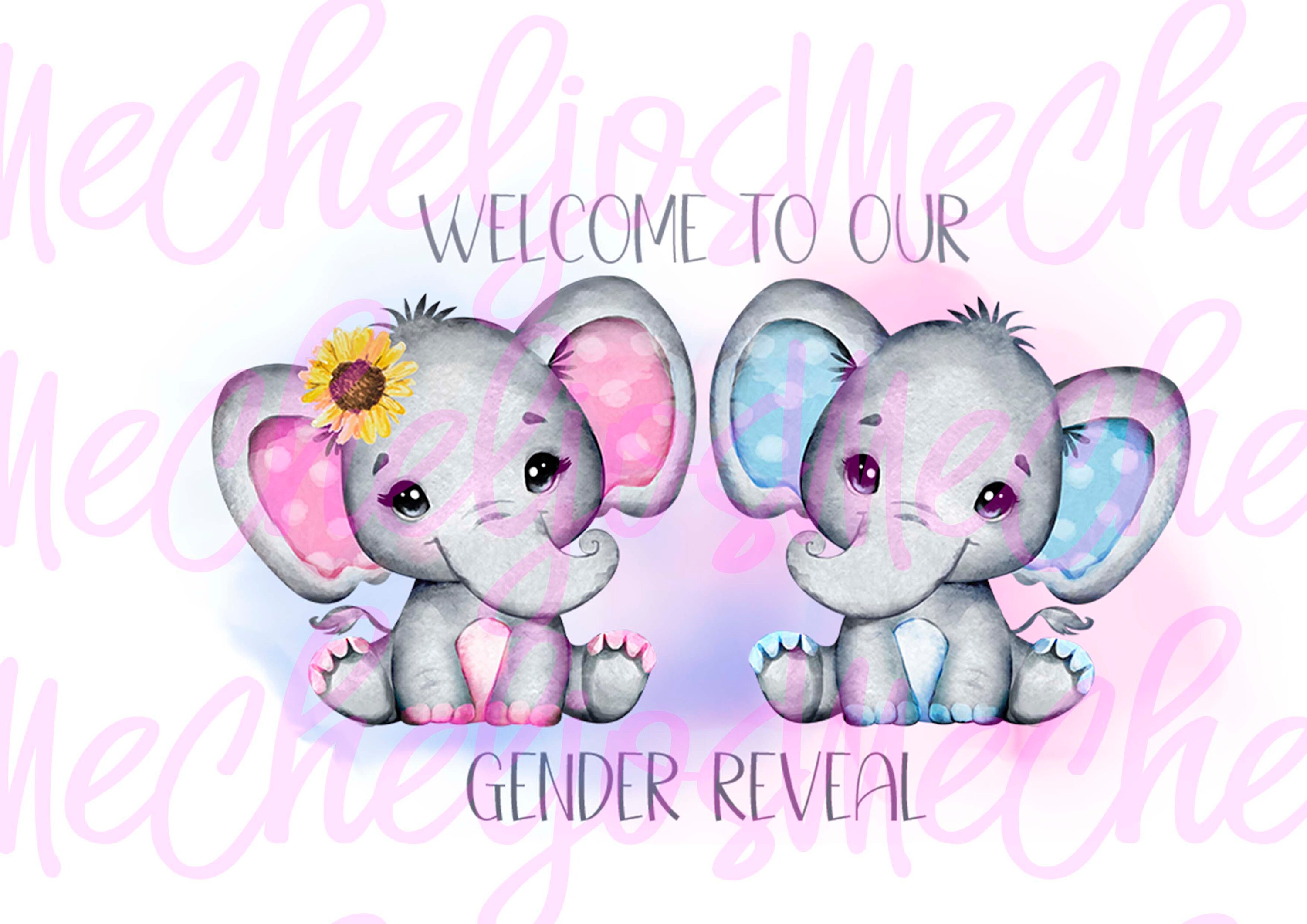 Gender Reveal Baby Elephantdigital Sublimation File PNG Etsy UK