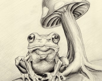 Fine-art print kikker en paddenstoel