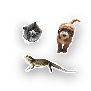 Custom pet stickers