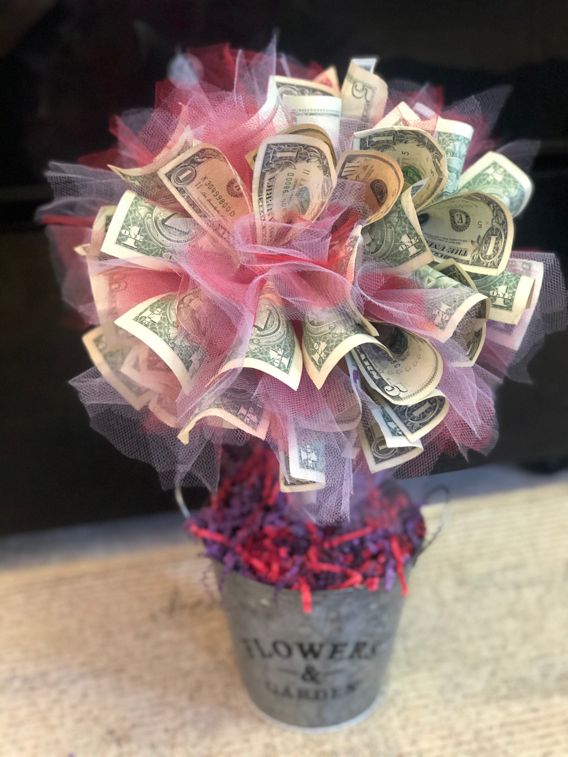 Money Tree Plant Seeds Grow Blessings. - Etsy