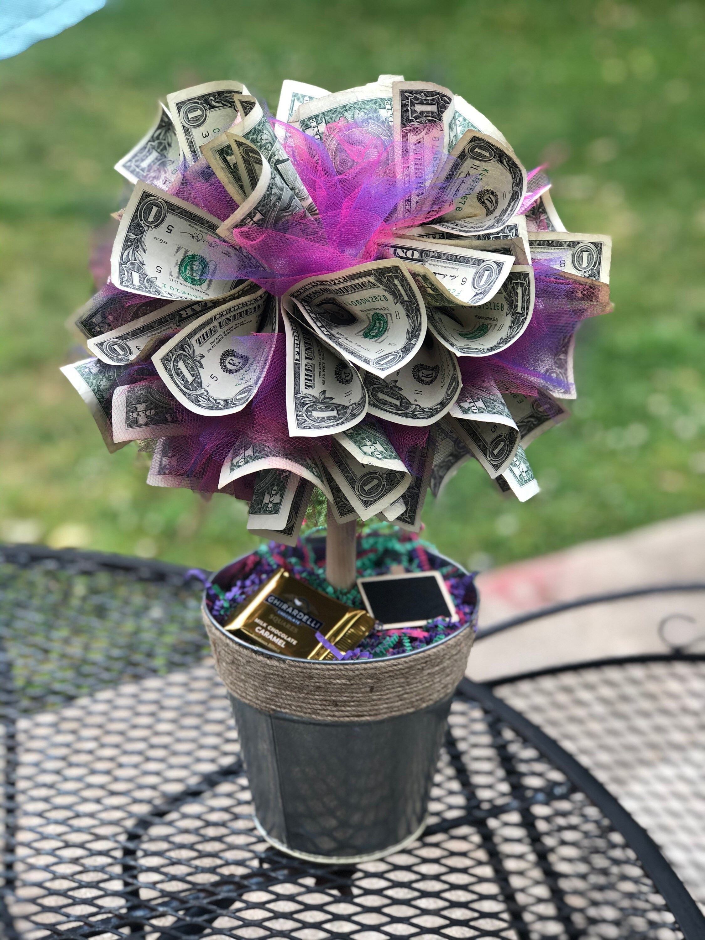 Money Tree Plant Seeds Grow Blessings. | Etsy