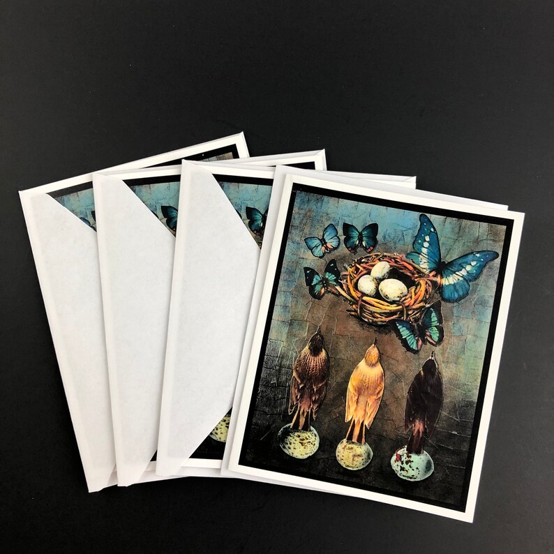 Blank Greeting Cards Hatching