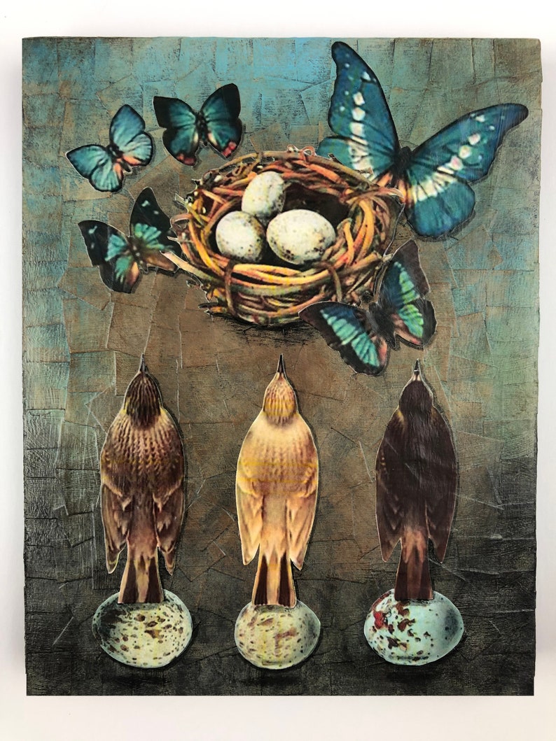 Blank Greeting Cards Hatching
