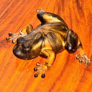 Adorable handmade resin frog, many colors, cute table decor, garden decor, unique one of a kind frog