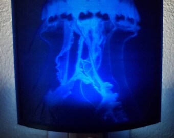 Jelly Fish Night Light