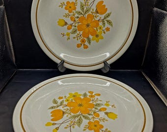 Vintage Stoneware Dinner Plates Set Of 2 Color Stone By Nikko 10&quot; Made In Japan