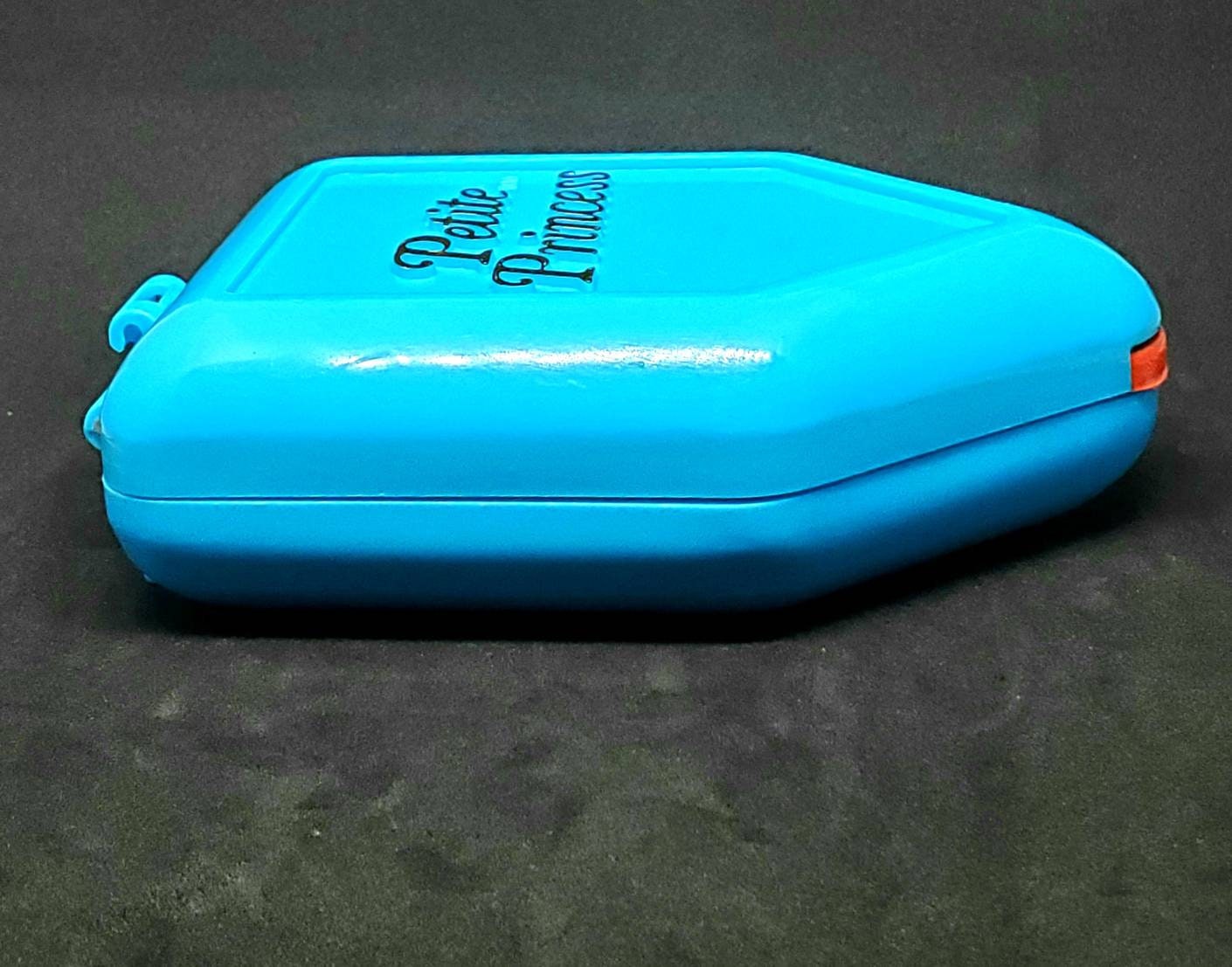 Vintage Petite Princess Lake House Playset Blue Case 1990s Etsy