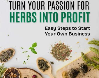 Easy Steps to Start Your Own Business E-guide (55+ pages) | Business Plan Tool INCLUDED
