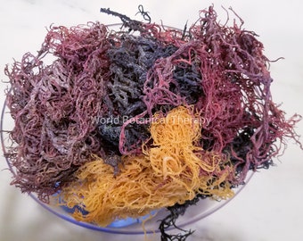 5 Lbs. + Wholesale | Bulk | The BEST Organic Multi-Colored Spectrum Irish Sea Moss| harvested from the clean shores of St. Lucia