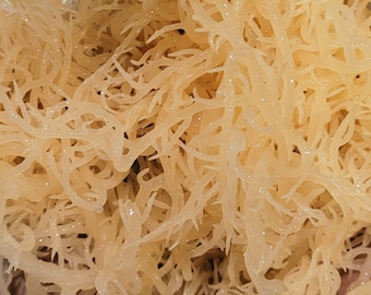 PURE Organic Golden Irish Sea Moss 2 oz. | ethically harvested from the clean shores of St. Lucia