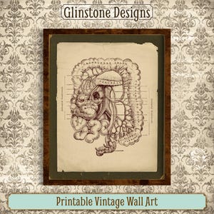 Printable Vintage Human Anatomy Wall Art, Gut, Intestines, Digestive System, Vintage Anatomical Illustration, Antique Medical Anatomy Print
