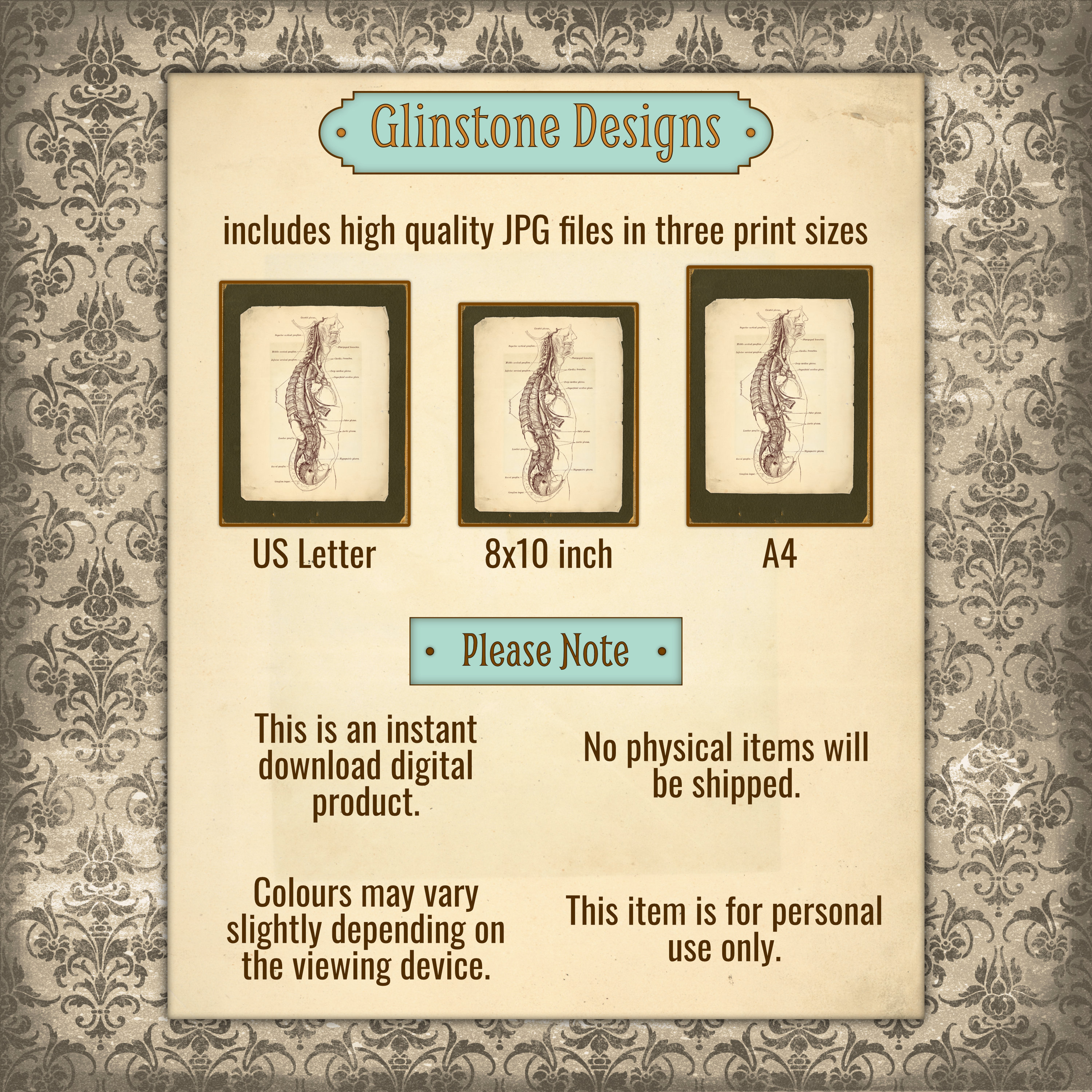 Printable Vintage Human Anatomy Wall Art, Body Cross-section ...