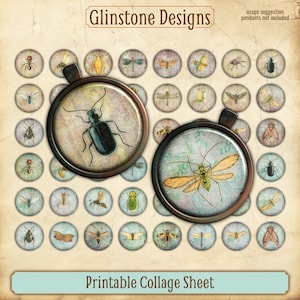 Printable 1 Inch Circles Collage Sheet, Insects, Vintage Illustrations, Scrapbooking Ephemera, Journal Embellishment, Round Bezel Insert
