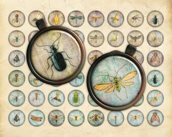 Printable 1 Inch Circles Collage Sheet, Insects, Vintage Illustrations, Scrapbooking Ephemera, Journal Embellishment, Round Bezel Insert