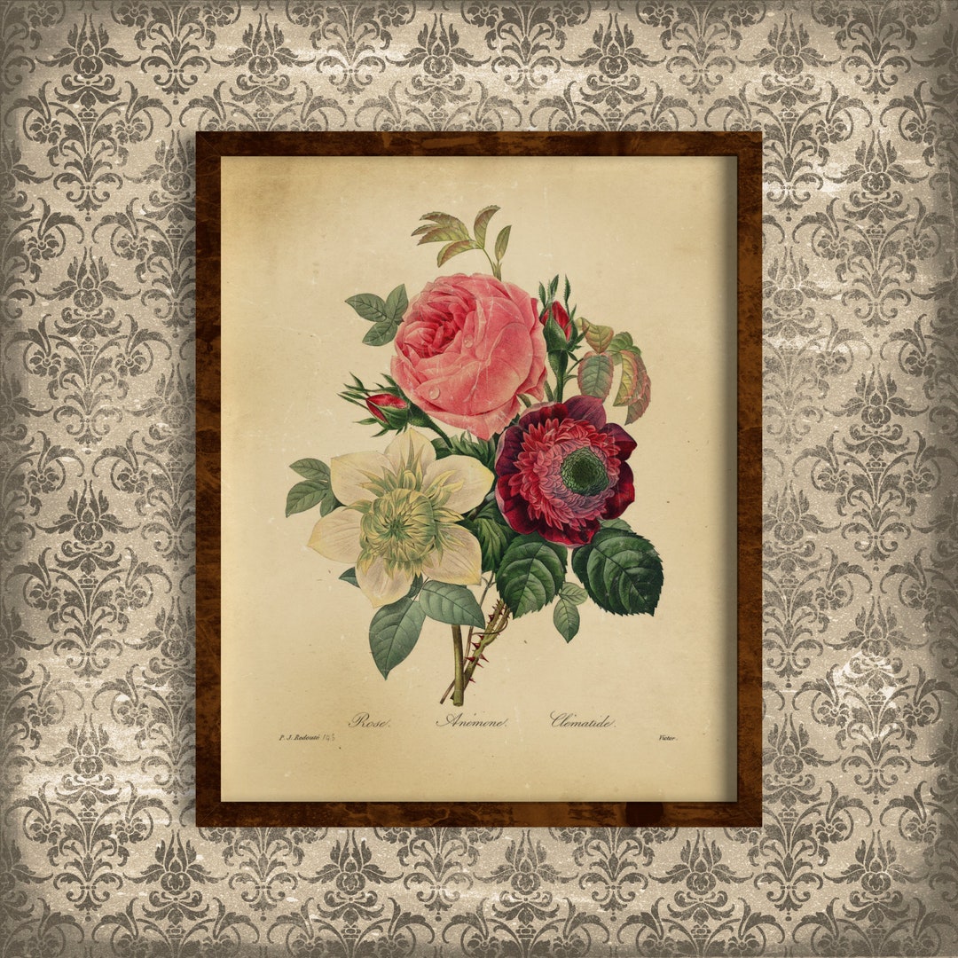 Printable Vintage Botanical Wall Art Rose Anemone Clematis - Etsy Australia