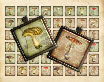 Printable 1x1 Inch Squares Collage Sheet, Mushrooms, Vintage Illustrations, Scrapbook Ephemera, Journal Embellishment, Square Bezel Insert