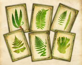 Printable Art Cards, Vintage Fern Illustrations, Botanical Art, ATC, Ephemera, Scrapbooking, Junk Journaling, Card Making, Paper Craft