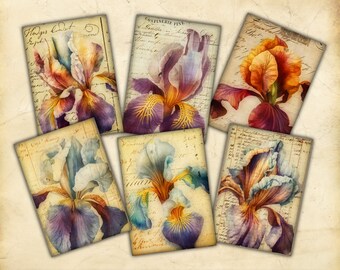 Printable Art Cards, Vintage-Style Iris Illustrations, Antique Paper, ATC, Ephemera, Scrapbooking, Junk Journaling, Card Making, Paper Craft