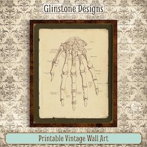 Printable Vintage Human Anatomy Wall Art, Human Hand Bones, Antique Medical Anatomy Print, Reproduction Vintage Anatomical Illustration