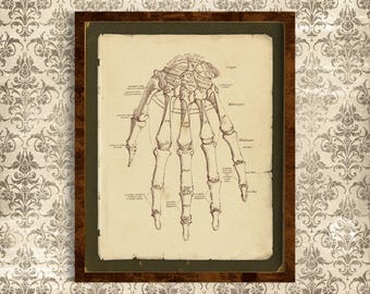 Printable Vintage Human Anatomy Wall Art, Human Hand Bones, Antique Medical Anatomy Print, Reproduction Vintage Anatomical Illustration