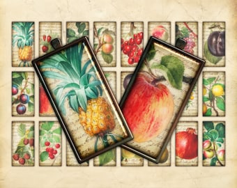 Printable Domino Collage Sheet, Fruit, Vintage Illustrations, Scrapbooking Ephemera, Junk Journal Embellishments, 1x2 Inches Rectangle