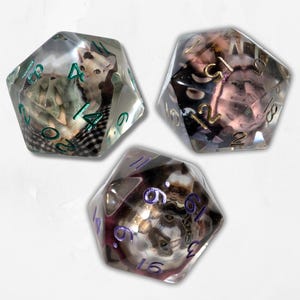 May include: Three clear, multi-sided dice with different images and numbers on each side. The dice are clear and show the numbers 1, 2, 3, 4, 5, and 6.