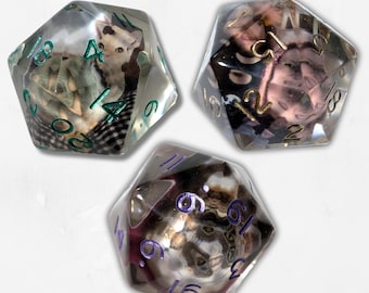 Customisable Chonk D20 Add Your Own Photo Chonk Dice DND Boardgame Glitter Sparkle RPG Dungeons and Dragons Tabletop Games Unique Personal