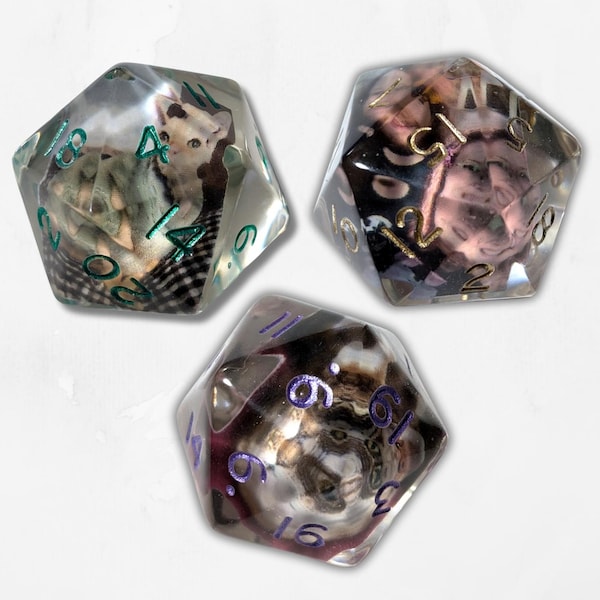 Customisable Chonk D20 Add Your Own Photo Chonk Dice DND Boardgame Glitter Sparkle RPG Dungeons and Dragons Tabletop Games Unique Personal