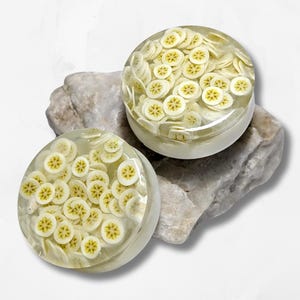 May include: Two round, clear resin containers filled with banana slices. The containers are set on a gray stone against a white background. The banana slices have yellow centers and white edges.