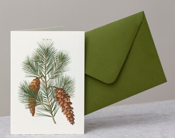 Pine branch greeting card with moss green envelope, Christmas postcard, white pine with pine cone and snow vintage botanical art