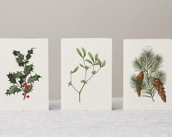Christmas card set of 3 with moss green envelopes, vintage-style botanical seasons greetings, (holly, pine tree, mistletoe)