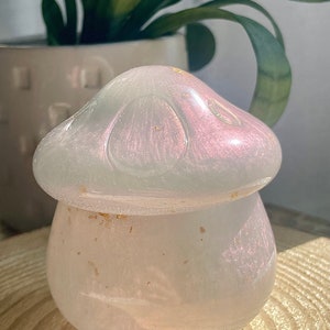 Handmade Mushroom Resin Storage Jar | Trinket Jar | Resin Stash Jar | Resin Storage Jar | Iridescent Mushroom Stash Jar